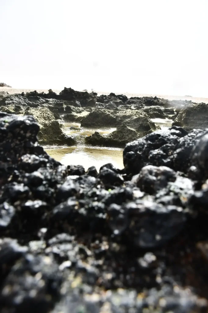 Des Roches visibles à marée basse. On peut y deviner des bassins d'eau naturels entre les roches de premier plan et d'arrière plan