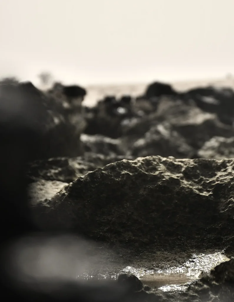 Des Roches visibles à marée basse.