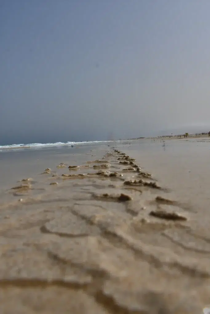 traces de roues sur la plage disparaissant dans l'océan