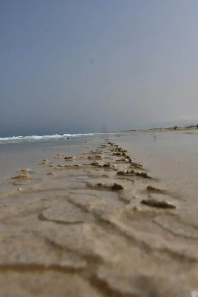 traces de roues sur la plage disparaissant dans l'océan