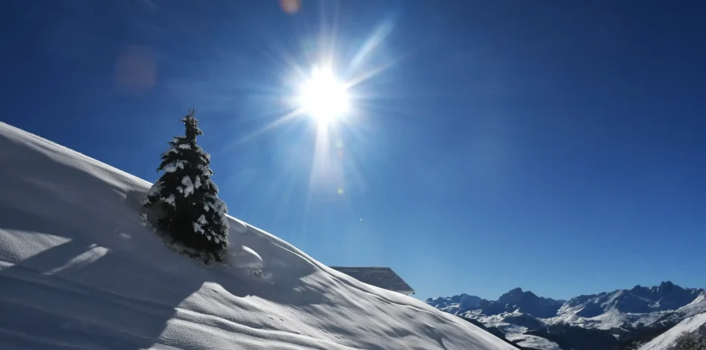 pin enneigé entouré de montagnes et d'un ciel bleu en plein hiver et le soleil est bien présent
