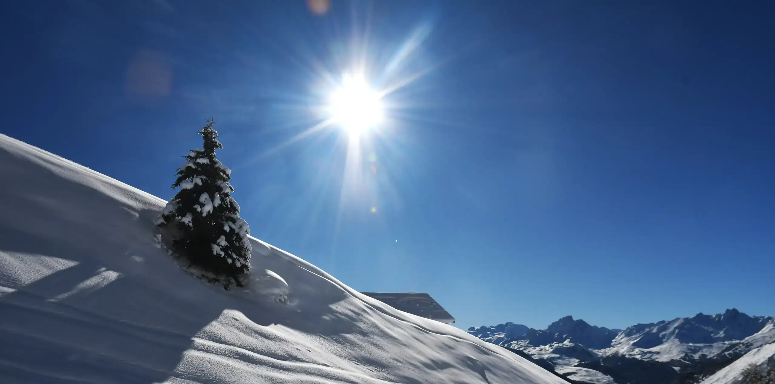 pin enneigé entouré de montagnes et d'un ciel bleu en plein hiver et le soleil est bien présent