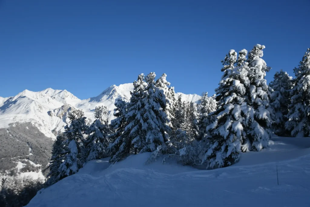 pins enneigés entourés de montagnes et d'un ciel bleu en plein hiver