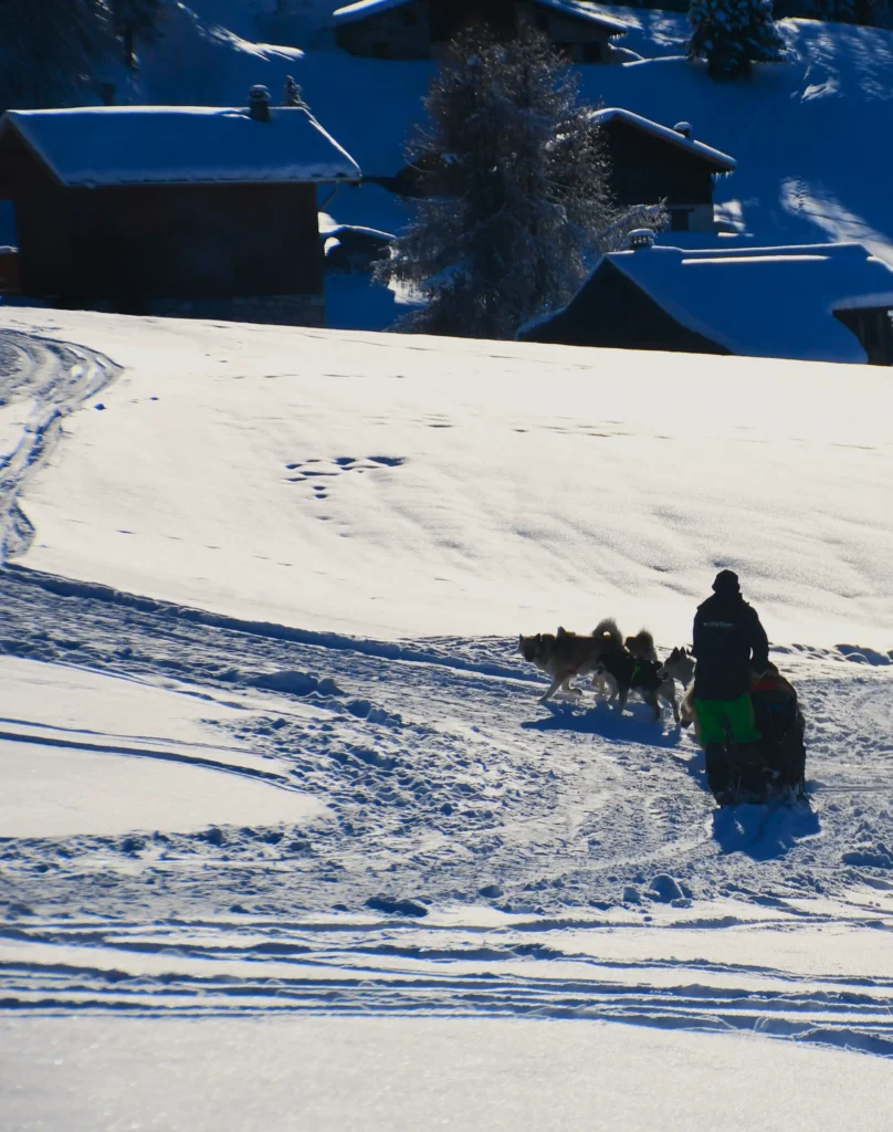 au premier plan en montagne un musher avec son traineau et au second plan des chalets