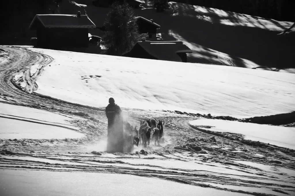 au premier plan en montagne un musher avec son traineau et au second plan des chalets