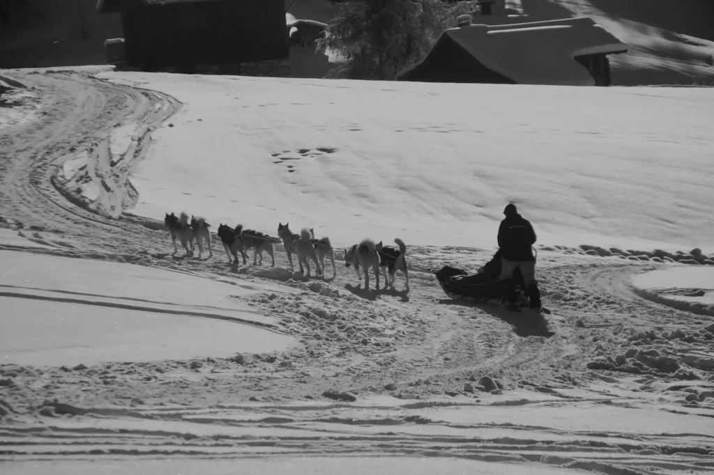 au premier plan en montagne un musher avec son traineau et au second plan des chalets