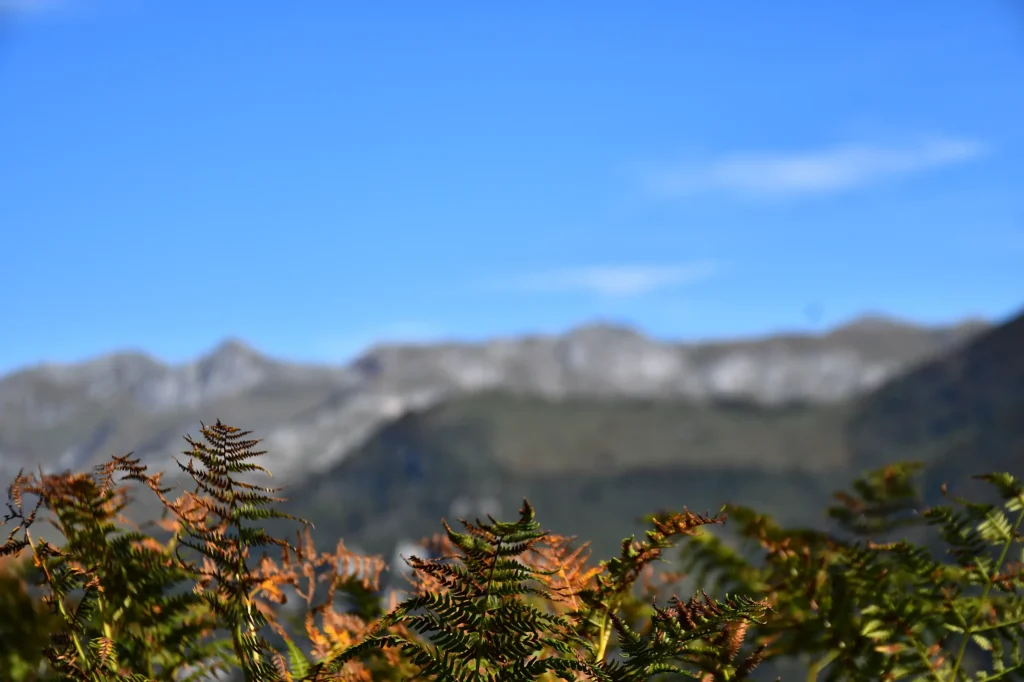 Automne dans les Pyrénées