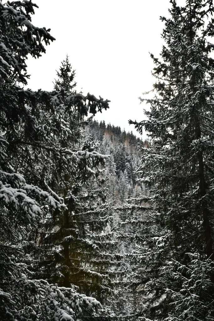 Montagne enneigée