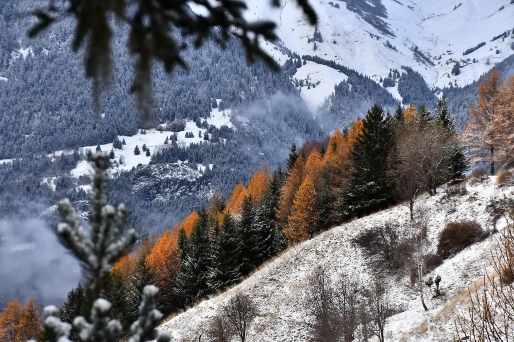 Montagne enneigée