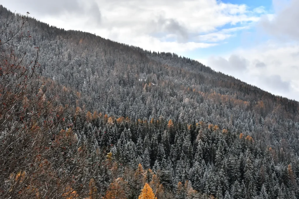 Montagne enneigée