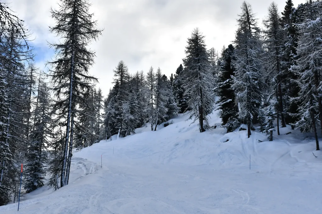 Montagne enneigée