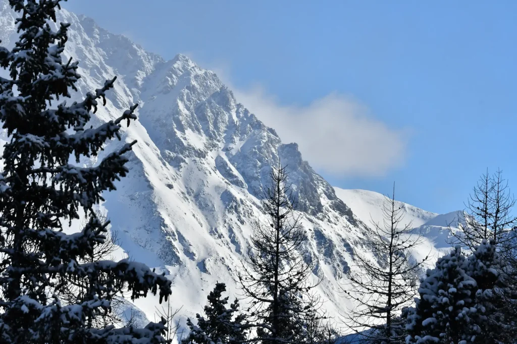 Montagne enneigée